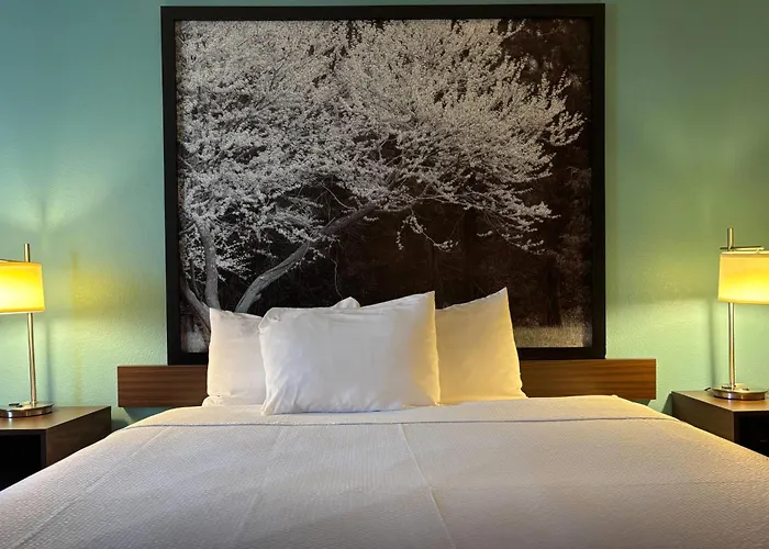 Super 8 By Wyndham Motel Carbondale