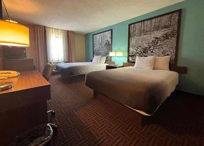 Motel Super 8 By Wyndham