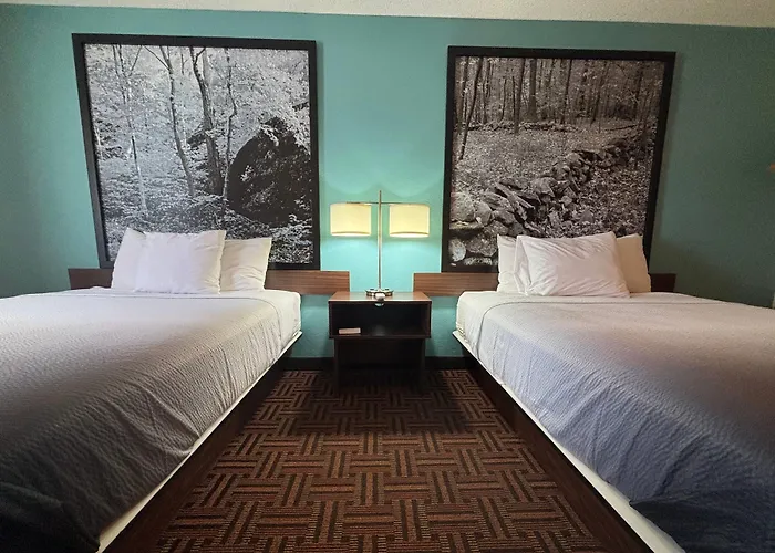 Super 8 By Wyndham Motel Carbondale